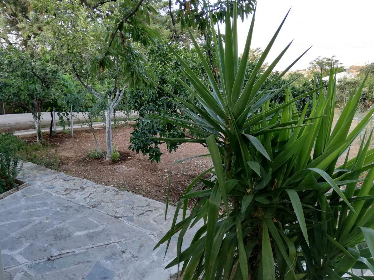 Dreamhome -10Min From Airport- Artemida  Esterno foto